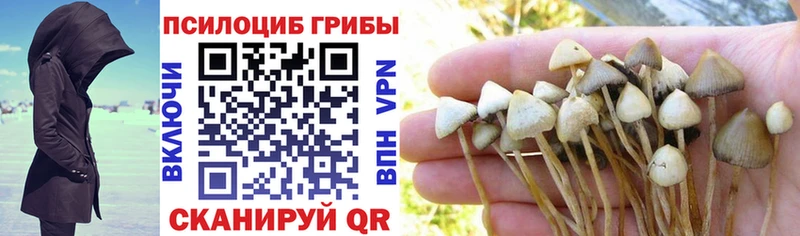 Галлюциногенные грибы MAGIC MUSHROOMS  как найти   Ачинск 