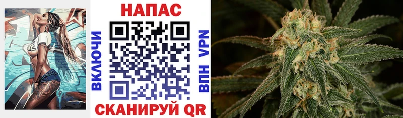 Канабис сатива  Ачинск 